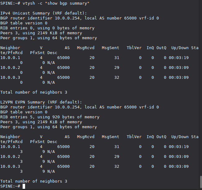 BGP summary showing established EVPN sessions
