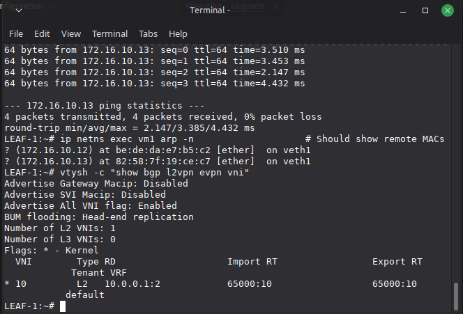 Successful cross-fabric ping and ARP resolution