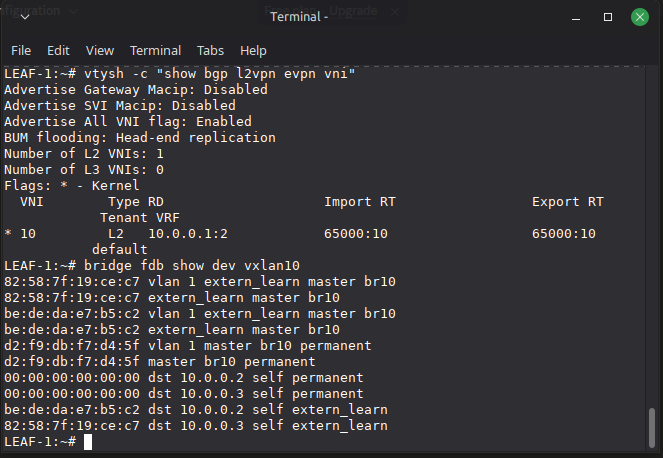 FDB entries and VNI verification on Leaf-1